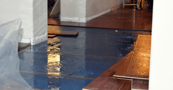 Preventative Steps to Avoid Further Damage